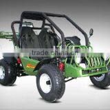 Popular Eec 150cc/250cc go Kart thumbnail-4