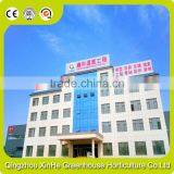 Hot Galvanized Pipe Cheap Plastic Film Agriculture Single Span Tunnel Greenhouse thumbnail-6