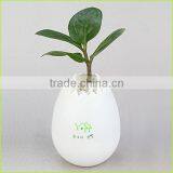 Office Desk Flower Pots,plastic Decorative Flower Pots,plastic Flower Pots From China thumbnail-1