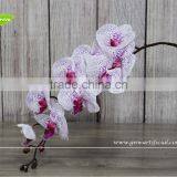 CNW FL-OK107-40-9-LX Hot Selling Fake Orchid Flowers Latex Cattleya On Sale thumbnail-2