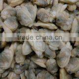 Short Necked Clam Meat For Frozen and Boiled IQF thumbnail-2