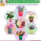 Wholesale Cheap Plastic Large Size Flower Hot Pot&trays thumbnail-2