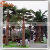 Cheapest Interior Decoration Artificial Washington Palm Tree Wholesale thumbnail-5