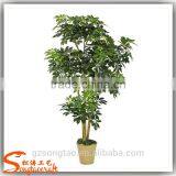 Wholesale Green Artificial Money Tree Make Cheap Outdoor Large Money Tree thumbnail-1
