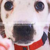 Custom Full Screen Printing Fleece Thermal Throw Carpet For Dogs thumbnail-3