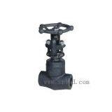 Female Threaded and Socket Welded Gate Valve thumbnail-1