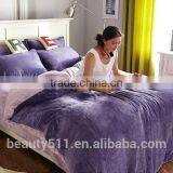 High Quality Colorful Winter Warm Flannel Bed Comforter Sheet BS484 thumbnail-3