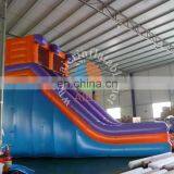 Hot Commercial Inflatable Water Slide For Children thumbnail-5