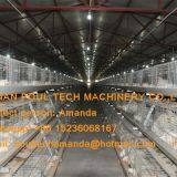 Hot Sale Morocco Broiler Farming Automatic Broiler Cage & Chicken Cage With Automatic Feeding System & Nipple Drinking System