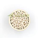 china wholesale price Japanese white kidney bean