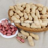 beat price peanut