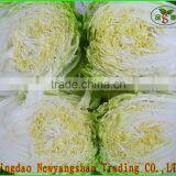 Cheap Fresh Cabbage Exporters in China