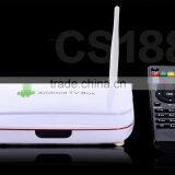 2014 Cheapest All Winner A20 Dual Core Andriod 4.2 Smart TV Box CS188