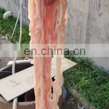 Hot Sale Animal Intestine Cleaning Machine Duck Intestine Cutting Machine Lamb Intestines Clean Machine thumbnail-5