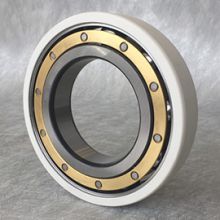 Nu1019ml/C3vl0241 Insulated Bearings for Traction Motors
