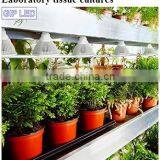 Home Made Led Grow Light LED Grow Lamp 3watt For Growing and Flowering Plant