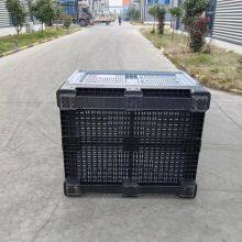 FDA Approved Plastic Pallet Container Hygienic for Cold Chain Fresh Fruit Export thumbnail-4