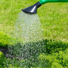 10L Garden Watering Can - Bulk Order Discount thumbnail-4