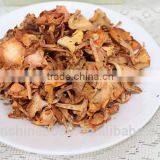 Wild Organic Dry Cantharellus Cibarius Mushroom / Chanterelle thumbnail-4