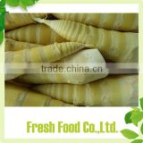 Quick delivery frozen bamboo shoots