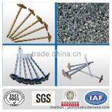 Competitive Price Umbrella Head Roofing Nails Directly Manufacturer thumbnail-1