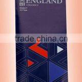 Custom Color Folding Flyer Printing