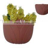 Clay Pot thumbnail-1