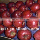 List of Vegetables Summer Red Apple thumbnail-1