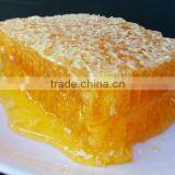 Concentrated Honey Extractor,low Price Honey Vacuum Concentration thumbnail-3