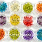 Hot sell nail art natural dried flowers for nail art decoration,nail accessory ZX:GH748