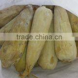 IQF Whole Sweet Corn With Best Quality