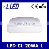 20w ce Led Ceiling Mounted Light Square