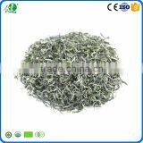 Best Green Tea Brands as Healthy Organic Green Tea thumbnail-2