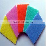 Good Reputation Scouring Pad