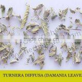 DAMANIA LEAVES thumbnail-1