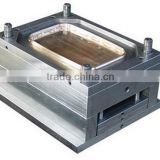 Direct Factory Price Discount 2015 denture storage box mould