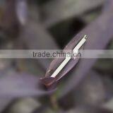 Best Selling Products Custom Long Bar Pendant for Girls thumbnail-4