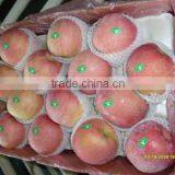 Chinese Exporting Red Fuji Apple thumbnail-1