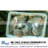 Chinese Fish Farming Companies thumbnail-1