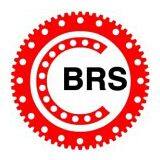 Luoyang BRS Bearing Co.,Ltd