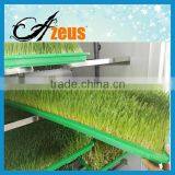 Electric Barley Sprout Machine Barley Grass Growing Machine