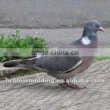 OEM Blow Molding Plastic HDPE Bird Simulation Animal Plastic Bird Decoy thumbnail-1