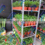 605 Pool Rack Chassis thumbnail-4