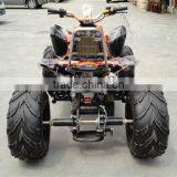 Powerful Chinese 250cc ATV thumbnail-2