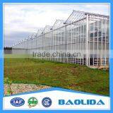 Large Green House thumbnail-3