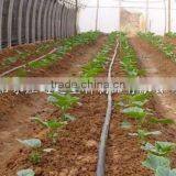 Drip Line 30cm Spacing 16mm Diameter thumbnail-4