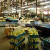 Shanghai Orient Glassware Inc. company overview - view 2 thumbnail