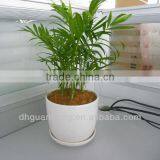 Indoor Flower Pot Stand