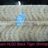 Penaeus Monodon thumbnail-1