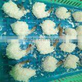 Best Season Sea Cooked Large Shrimp thumbnail-1